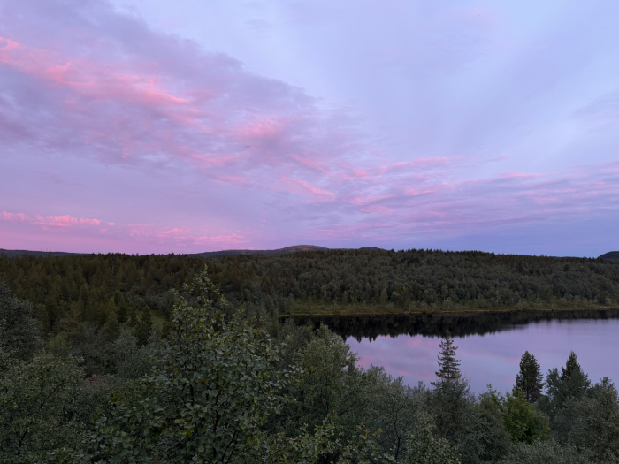 Живописное место для прогулок, фотосессий и отдыха в Мурманске
