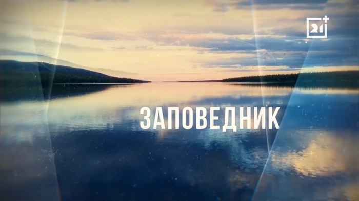 Заповедник: Орнитологический фестиваль в Пасвике 2026 Заповедник: Орнитологический фестиваль в Пасвике 2026