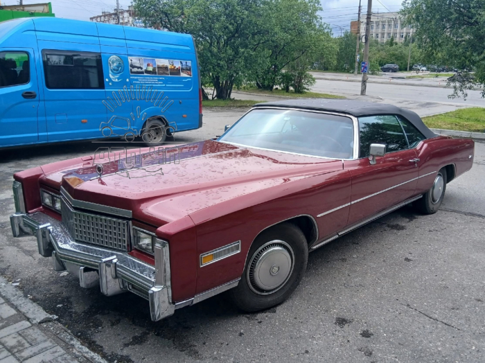 Как в кино: мурманчане любуются легендарным автомобилем Машина