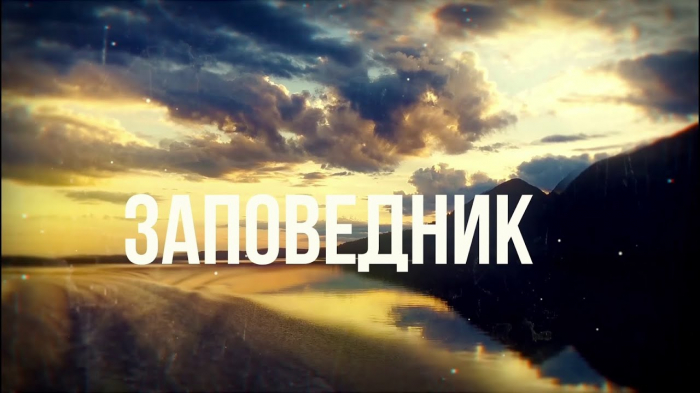 Заповедник: Полярно-альпийский ботанический сад Заповедник: Полярно-альпийский ботанический сад