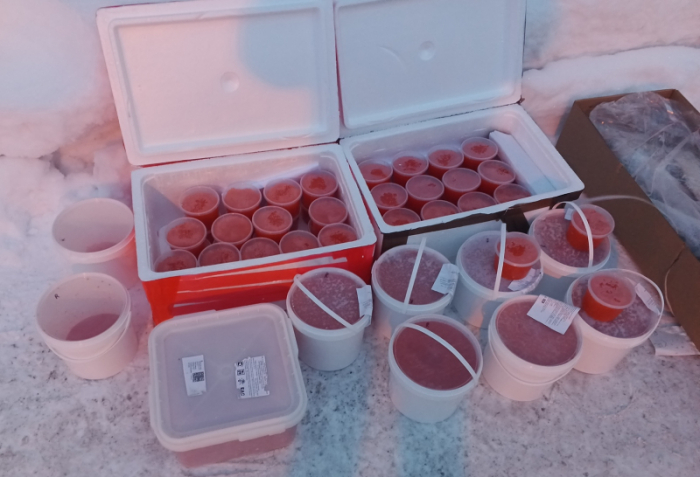 В Мурманске изъяли крупную партию рыбной продукции В Мурманске изъяли крупную партию рыбной продукции