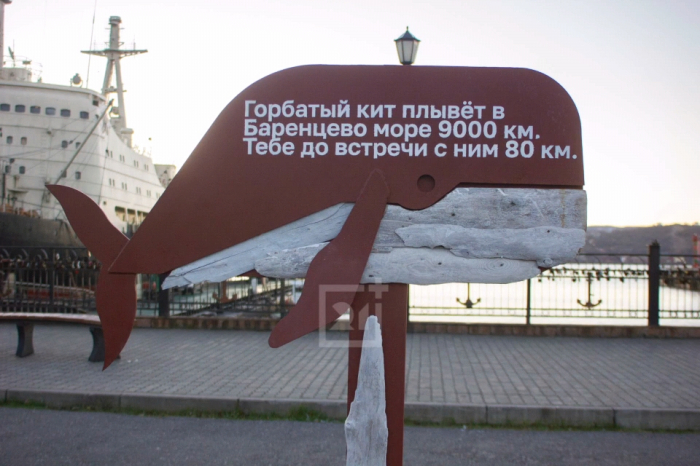 Необычные арт-объекты на мурманском вокзале привлекли внимание туристов Кит