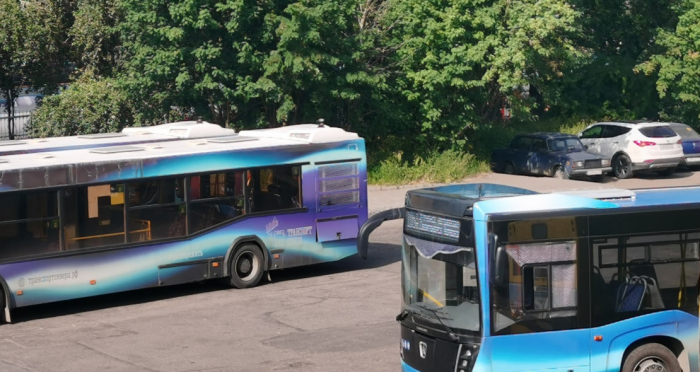 Для мурманчан запустят бесплатные автобусы на крупный фестиваль Автобус