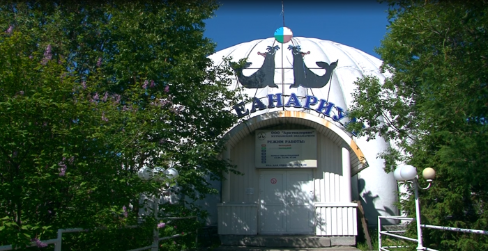 Задолженность перед сотрудниками мурманского океанариума погашена Океанариум