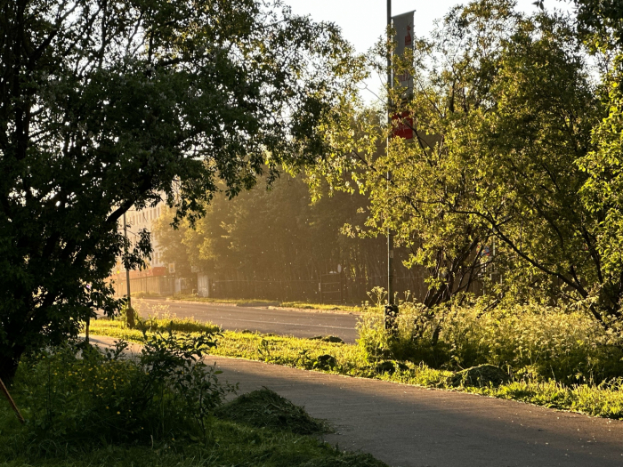 Какая погода ждет северян 4 августа? Город