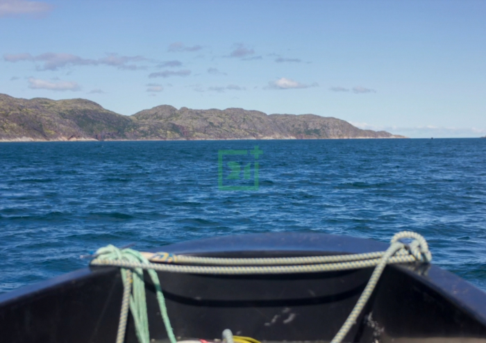 Морской гигант проплыв совсем рядом с катером в Заполярье Море