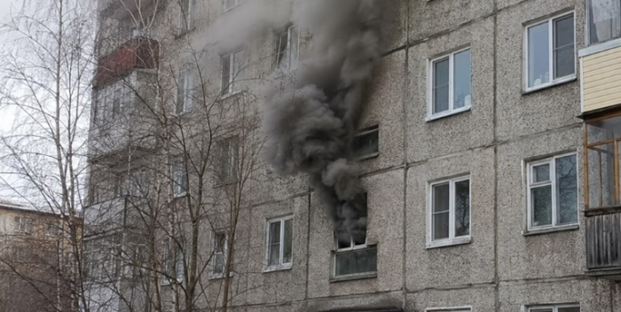 Человек со своим питомцем погибли в пожаре в Мурманске Человек со своим питомцем погибли в пожаре в Мурманске